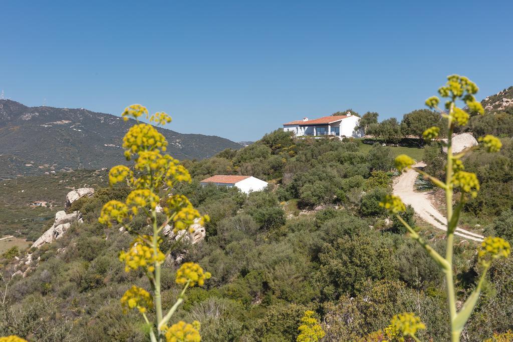 Agriturismo Cabu Abbas Villa ออลเบีย ภายนอก รูปภาพ